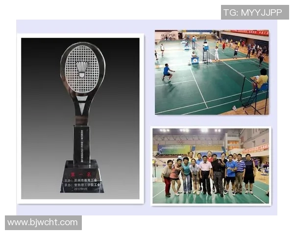 赛后分析西安羽毛球队与南京羽毛球队的战术灵活性与应变能力对比