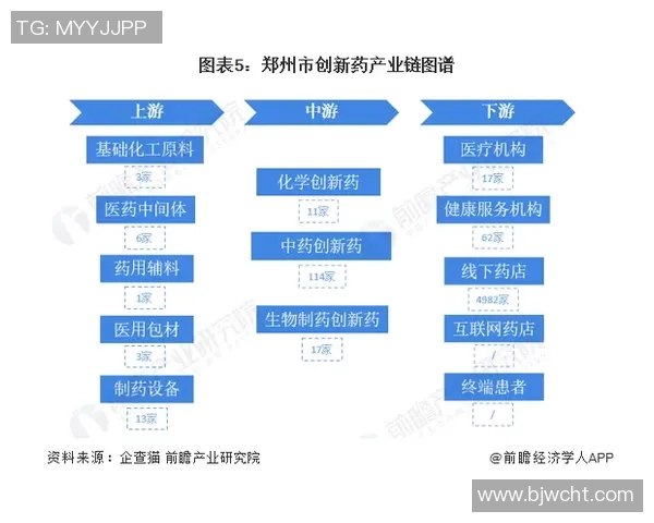 成都飞盘队防反战术创新探索与实践分析全景报告