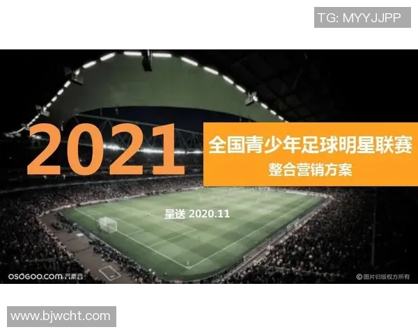 足球明星数量调查分析及其对青少年足球发展的影响研究